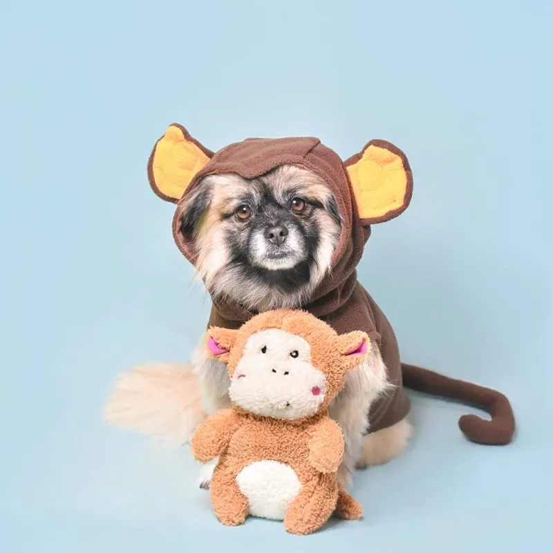 [10% OFF] ZippyPaws Cheeky Chumz Monkey Dog Toy