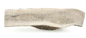 Barkworthies Elk Antler Split For XLarge Dogs Single