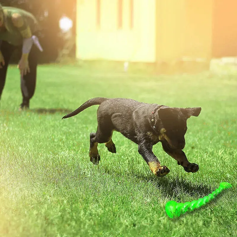 Durable Rubber Chew Toy for Medium and Large Dogs