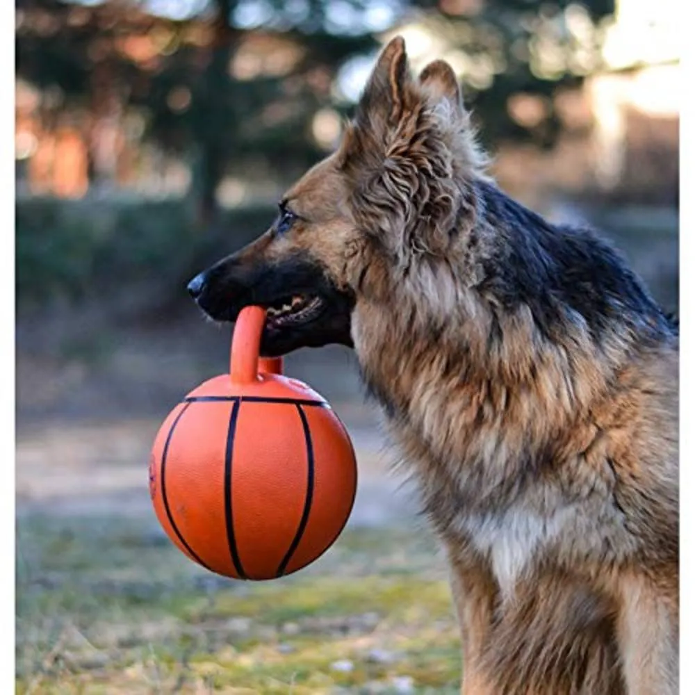 Gigwi Basket Ball with Rubber Handle Jumball - Orange