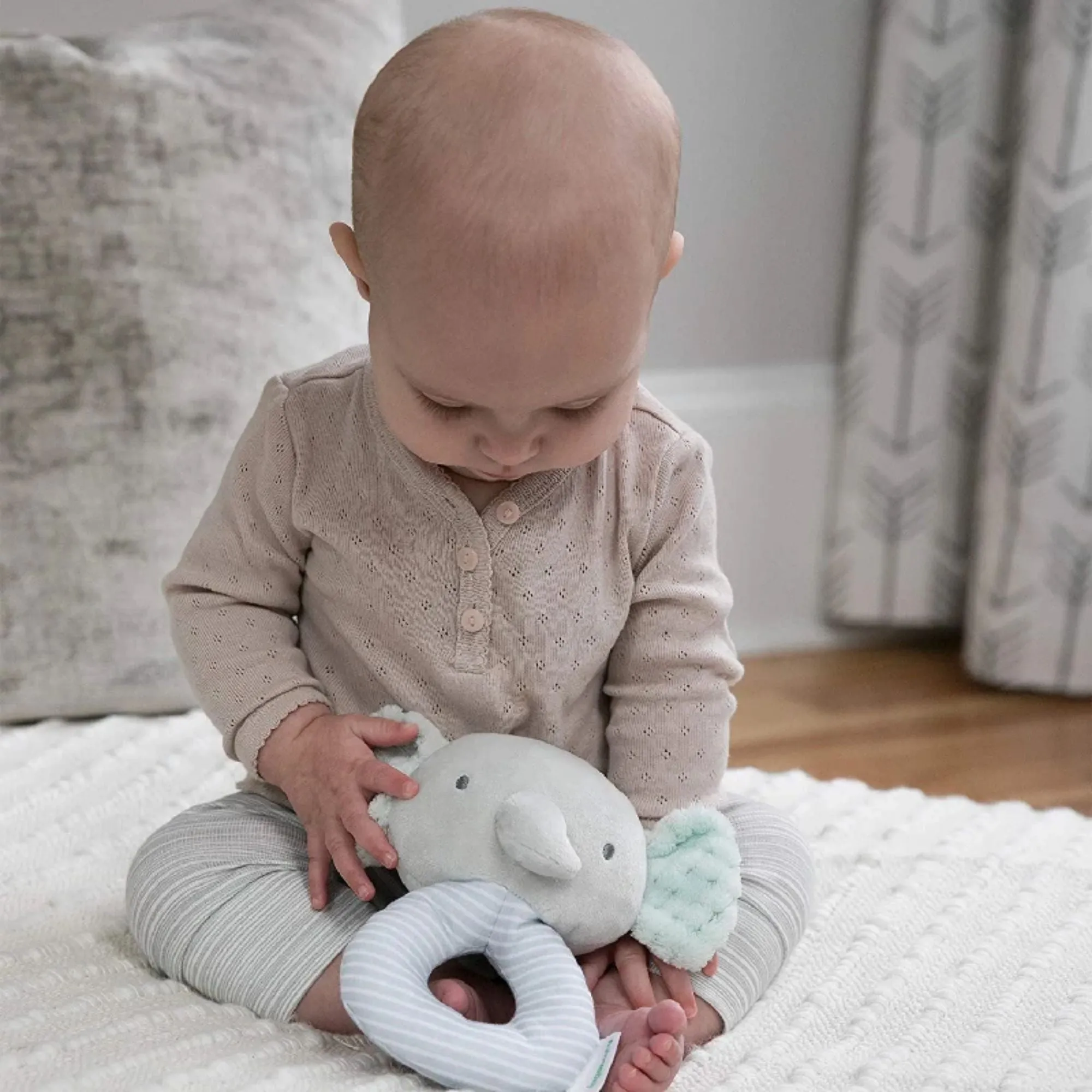 Ingenuity Premium Soft Plush Van â„¢ Ring Rattle