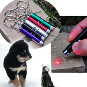 Interactive LED Laser Pointer Toys for Cats