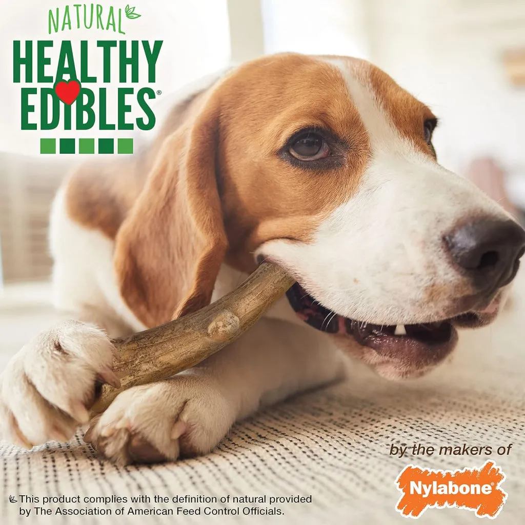 Nylabone Healthy Edibles WILD Natural Long Lasting Venison Antler Dog Chew Treats - Medium/Wolf, 10-count