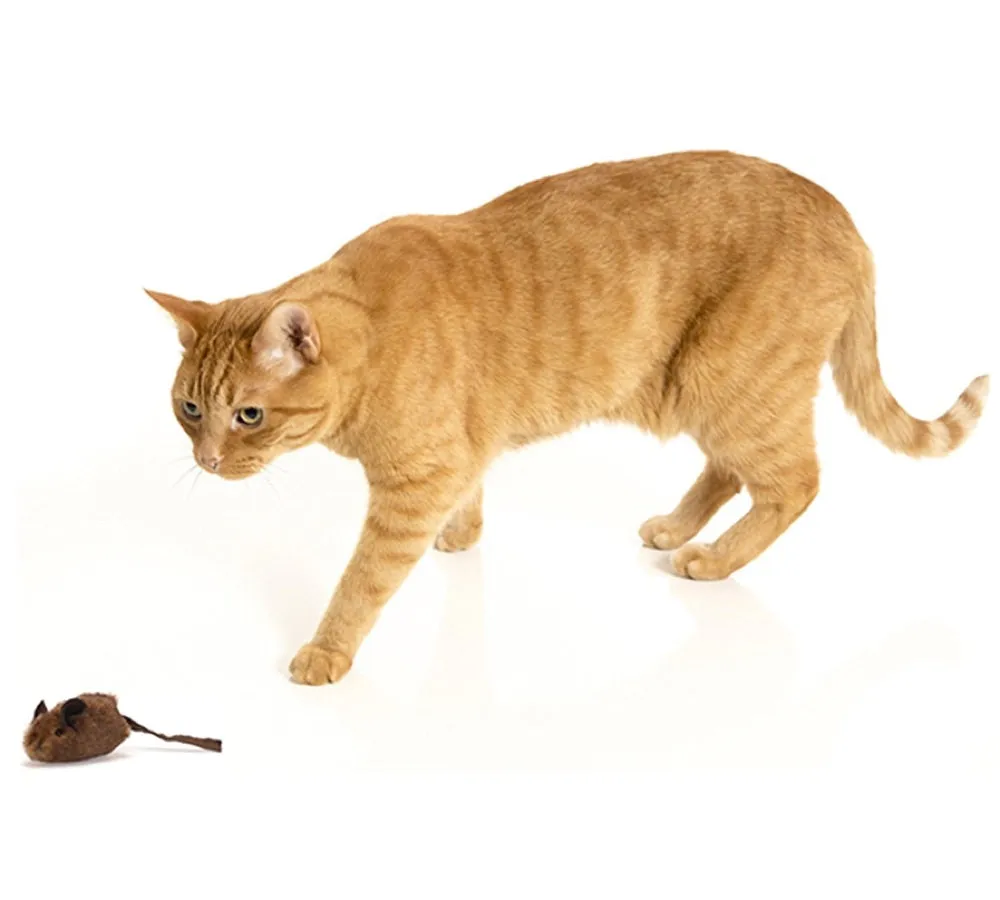 OurPet's Play-N-Squeak MouseHunter Interactive Cat Toy