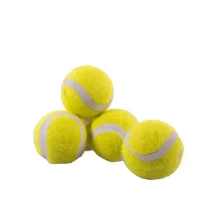 Rosewood Jolly Doggy Mini Assorted Tennis Balls 5 Pack