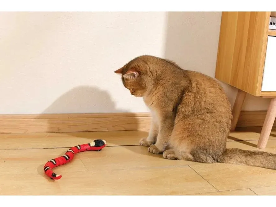 Sneaky Snake Interactive Cat Toy