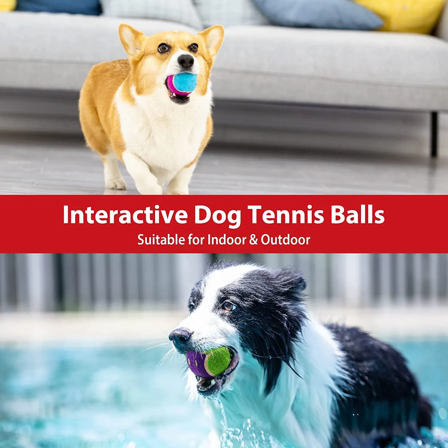 Squeaky Dog Tennis Balls for Exercise