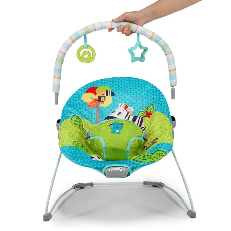 TenderMotion Baby Bouncer