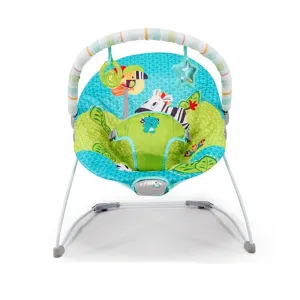 TenderMotion Baby Bouncer