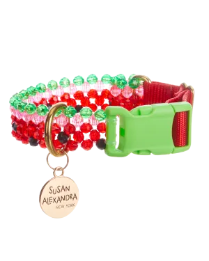 Watermelon Dog Collar